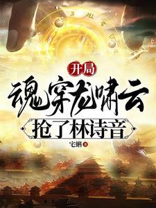 开局,和林诗音结婚